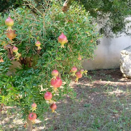 Dimora Duchessina Maison d'hôtes